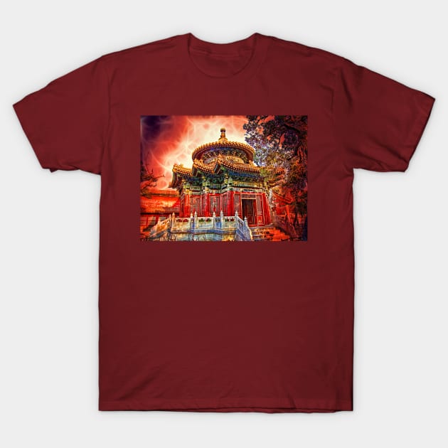 In the Garden of Forbidden City. Beijing. China. T-Shirt by vadim19